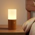 Night Light Touch Table Lamp With Frosted Lampshade 3000K Color Temperature USB Charging Cable Modern And Minimalist LED Light For Bedroom Living Room Beech