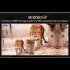 Night Vision Binoculars Goggles 3 Inches Screen Night Vision Telescope HD 4K Video 48MP Photos 600M Night Camera White
