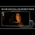Night Vision Binoculars Goggles 3 Inches Screen Night Vision Telescope HD 4K Video 48MP Photos 600M Night Camera White