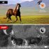 Night Vision Binoculars Photos Video Recording HD Infrared Digital Telescope 5 Level Thermal Imager With 4k LED Screen For Outdoor Observation NV600B