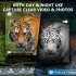 Night Vision Monocular 1080P Viewing Night Vision 5X Digital Zoom Goggles Infrared Illuminator Video Recording Monocular For Camping Surveillance Wildlife Viewi