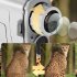 Night Vision Monocular NV007 Built In Infrared Illuminator 1920x1080 Fhd Video Resolution 7x Digital Zoom Black