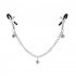 Nipple Clips Clamps Nipple Adjustable Pressure Breast Clamps Stainless Steel Non Piercing Nipple Rings For Women Men B constant clip accessories