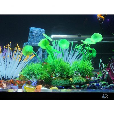 Wholesale Noctilucence Simulation Sea Anemone For Aquarium Fish