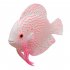 Noctilucent Simulate Silicone Fish Shape Aquarium Decoration Accessories F01 pink angelfish