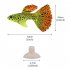 Noctilucent Simulate Silicone Fish Shape Aquarium Decoration Accessories F03 Guppy