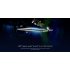 Nokia 7 Plus 4G LTE Smartphone   6 0 Inch  4GB RAM 64GB ROM  Snapdragon 660 Octa core  3800mAh   Black