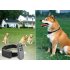Non shock behavior dog training collars and remote that uses your own voice as recorded audio commands to help you train your dog