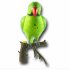 Novelty wireless doorbell  with a Parrot that will either give a bird song when the doorbell is sounded  or will play back up to 6 seconds of prerecorded sound