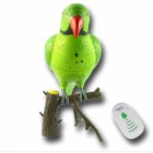 Novelty wireless doorbell  with a Parrot that will either give a bird song when the doorbell is sounded  or will play back up to 6 seconds of prerecorded sound
