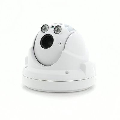 Outdoor Weatherproof Mini IP Camera