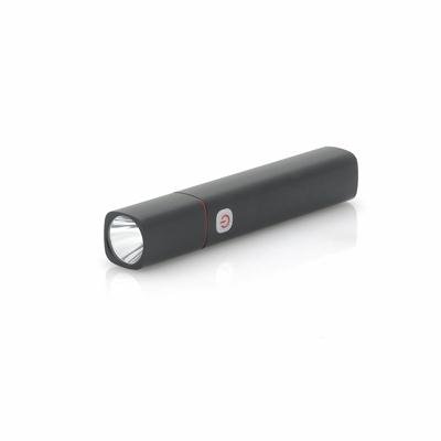 CREE LED Light with Powerbank
