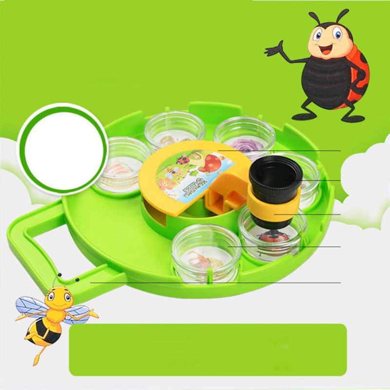 Wholesale Observe Insect Magnifier Box Kids Educational Toy Scientific ...