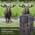 Outdoor 1080p Hd Action Camera Night Vision 20mp Ip65 Waterproof Wireless Cam