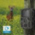Outdoor 1080p Hd Action Camera Night Vision 20mp Ip65 Waterproof Wireless Cam