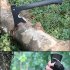 Outdoor G10 Axe Fire Waist Axe Chopping Firewood Steel Camping Survival Mountain Logging Tool For Hiking Camping black