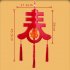 Outdoor Lantern LED Light  Lantern For Lunar New Year  Red Lampion  Red Lampion Spring Festival  Hanging Decor  Wedding  Party Decoration  Christmas spring char