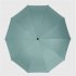 Outdoor Mini Umbrella With Led Light 10 Ribs Portable Lightweight Folding Sun Rain Umbrella vinyl black