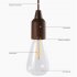 Outdoor Portable Led  Cable  Lamp With Wood Grain Lamp Holder 5v 1a 2w 70lm Various Shapes Camping Tent Christmas Atmosphere Lights Pull Wire Lamp Chili Pepper