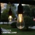 Outdoor Portable Led  Cable  Lamp With Wood Grain Lamp Holder 5v 1a 2w 70lm Various Shapes Camping Tent Christmas Atmosphere Lights Pull Wire Lamp Chili Pepper