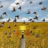 Outdoor Solar Bird Repellent High Volume High Brightness Alarm Security Siren For Villa Farm Yard Garden N911R red shell