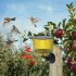 Outdoor Solar Bird Repellent High Volume High Brightness Alarm Security Siren For Villa Farm Yard Garden N911R red shell