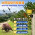 Outdoor Solar Bird Repellent High Volume High Brightness Alarm Security Siren For Villa Farm Yard Garden N911R yellow shell