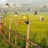 Outdoor Solar Bird Repellent High Volume High Brightness Alarm Security Siren For Villa Farm Yard Garden N911R red shell
