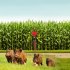 Outdoor Solar Bird Repellent High Volume High Brightness Alarm Security Siren For Villa Farm Yard Garden N911R red shell