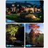 Outdoor Solar Ground Light Home Intelligent Light Sensing Waterproof Ground Plug Lights For Garden Lawn white color light