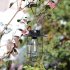 Outdoor Solar Lantern Lamp IP44 Waterproof Vintage Metal Solar Lights With Tungsten Bulb For Patio Garden Decor Bronze A