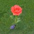 Outdoor Solar Lights  Rose Flower Solar Powered LED Stake Light  Landscape Decorative Night Light for for Yard Garden Pathway Bright red
