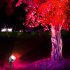 Outdoor Waterproof Spotlight Garden Lawn Lamp Safe Low Voltage Powered Park Square Road Community Landscape Light With Remote Control 1 for 1 US Plug