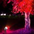 Outdoor Waterproof Spotlight Garden Lawn Lamp Safe Low Voltage Powered Park Square Road Community Landscape Light With Remote Control 2 in 1 EU Plug