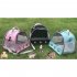 Oxford Mini Transparent Travel  Bag Portable Carrier Bag Outdoor Hangbag For Hedgehogs Hamsters Squirrels Parrots Turtles Guinea Pigs Green