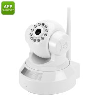Wireless IP Security Camera 
