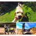 PULUZ Hound Pets Chest Mount Strap Belt for SJCAM SJ4000 Xiaoyi 4K Camera