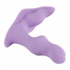 Panties Wearable <span style='color:#F7840C'>Wireless</span> <span style='color:#F7840C'>Vibrator</span> Massage Rechargeable Remote Control for Women purple