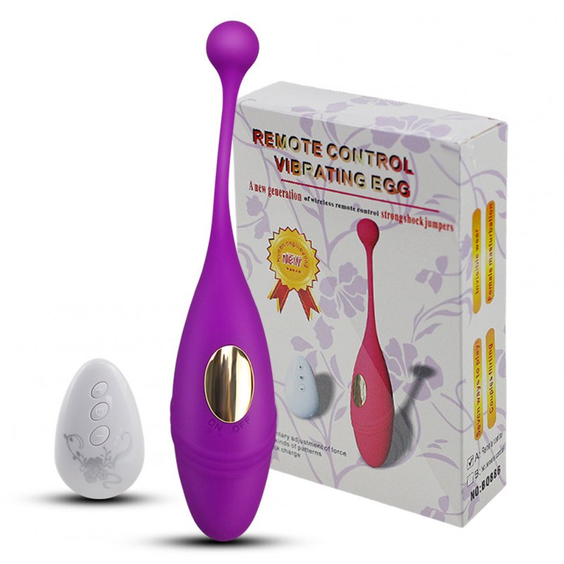 Wholesale Panties Wireless RC Vibrator Panties Vibrating Egg Wearable Dildo  Vibrator G Spot Clitoris Sex toy purple From China
