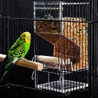Parrot Bird Automatic Seed Feeder Tray Transparent Board Supplies Anti-Splashing  Medium