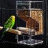 Parrot Bird Automatic Seed Feeder Tray Transparent Board Supplies Anti Splashing  Small
