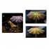 Patio Umbrella String Lights With Remote Control  3 9Ft 104 LEDs  Battery Operated  Waterproof Wireless Lighting For Outdoor Backyard Garden Umbrella Decor Whit