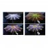 Patio Umbrella String Lights With Remote Control  3 9Ft 104 LEDs  Battery Operated  Waterproof Wireless Lighting For Outdoor Backyard Garden Umbrella Decor colo