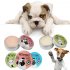 Paw Care Creams Puppy Dog Cat Paw Care Cream Moisturizing Protection Forefoot Toe Health Pet Products Green Tea Protection 10g