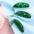 Pea  Poppers  Toy Funny Facial Expression Release Stress Anxiety Keychain Bean Toy 1pcs