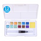 Pearlescent Color Solid Watercolor Paint  Set Nail Art Watercolor Painting For Beginners 12 colors pure pearl
