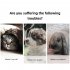 Pet Anti lost GPS Trackers  Smart Wearable Locator trackers  Waterproof Real time locator For Dog Cat Rabbit  Find Device Collar pet location collar