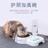 Pet Automatic Water Fountain Food Bowl for Cats Dogs white