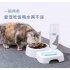 Pet Automatic Water Fountain Food Bowl for Cats Dogs Pink