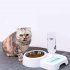 Pet Automatic Water Fountain Food Bowl for Cats Dogs green